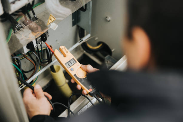 Best Electrical Panel Upgrades  in Newark, IL